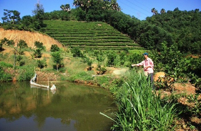 Mô hình vườn  ao  chuồng mang lại hiệu quả kinh tế cao cho người dân Yên  Bái  Ảnh thời sự trong nước  Kinh tế  Thông tấn xã Việt Nam TTXVN