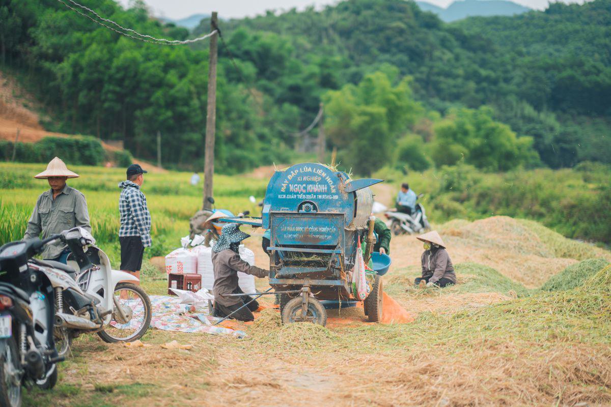 Các mô hình trang trại thành công tại Việt Nam nên biết