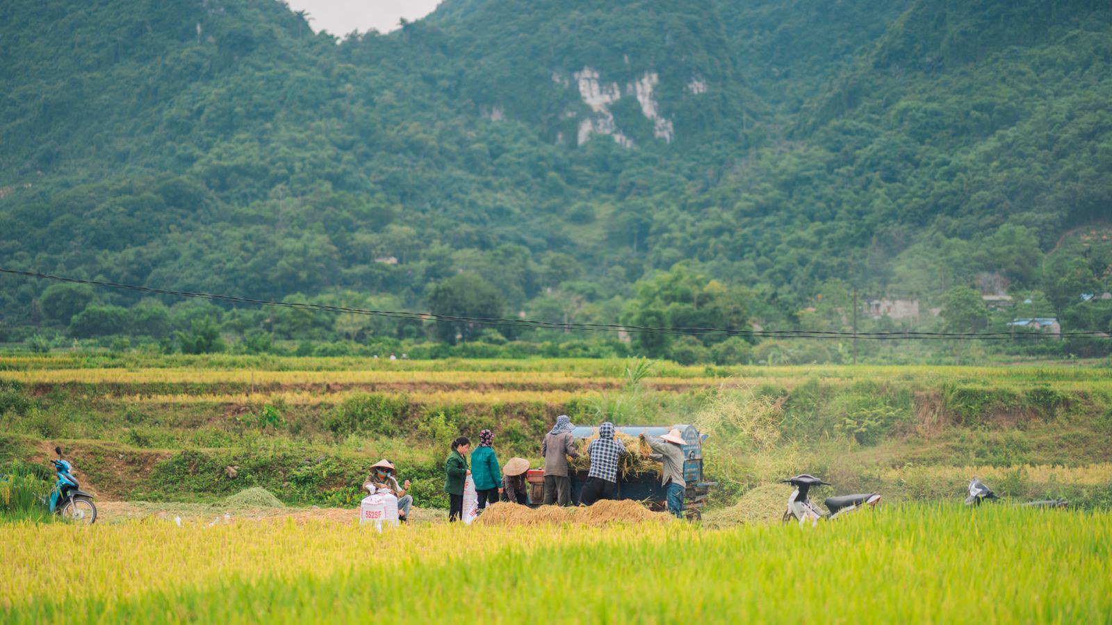 Thế nào là một mô hình trang trại làm ăn hiệu quả