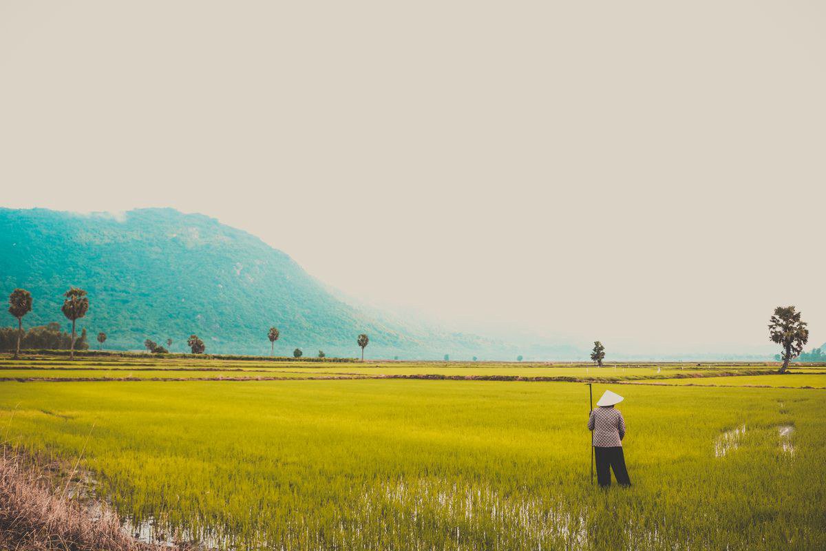 Cần chuẩn bị gì trước khi làm mô hình vườn ao chuồng