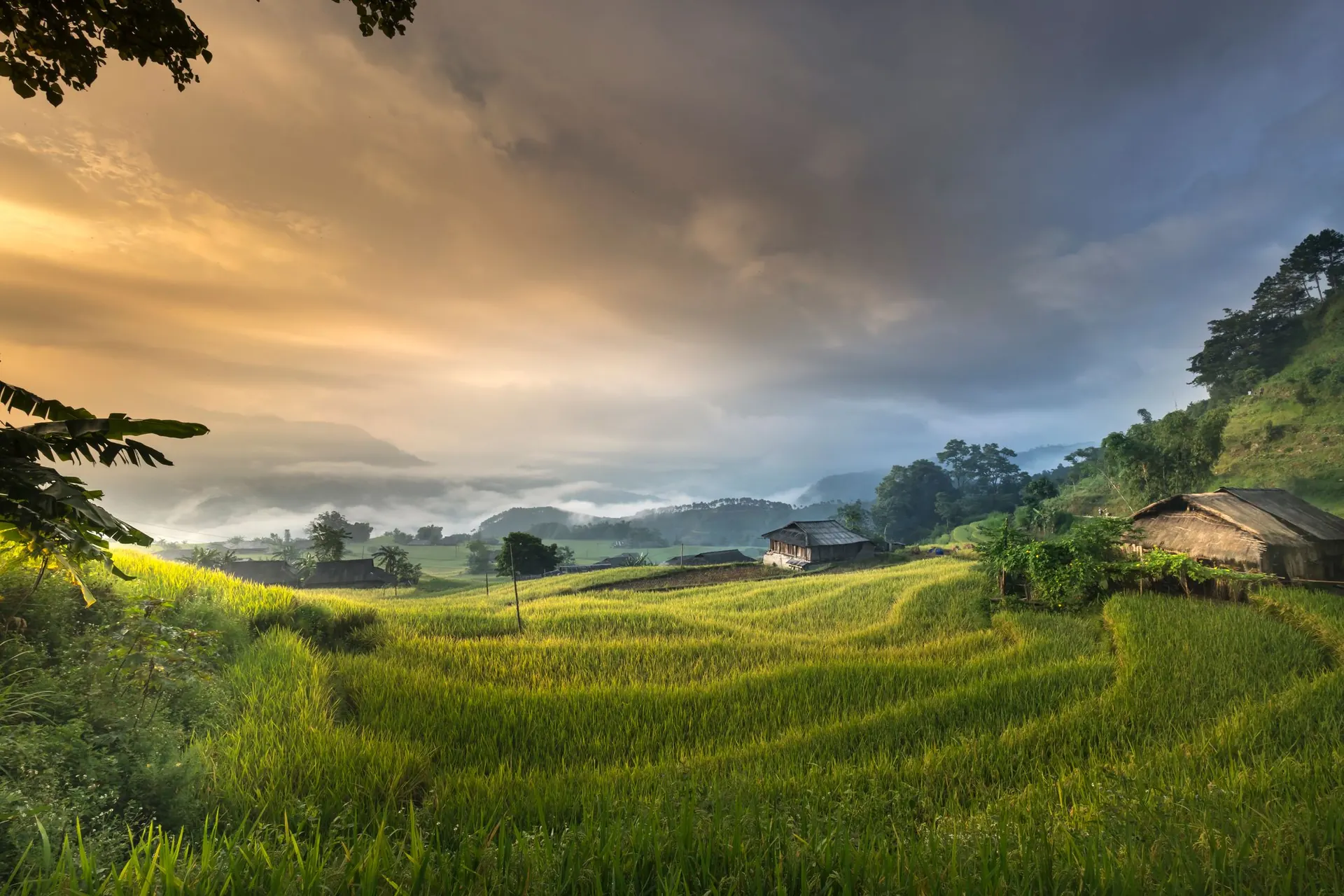 Nếp nhà nhỏ giữa ruộng bậc thang lúc chiều