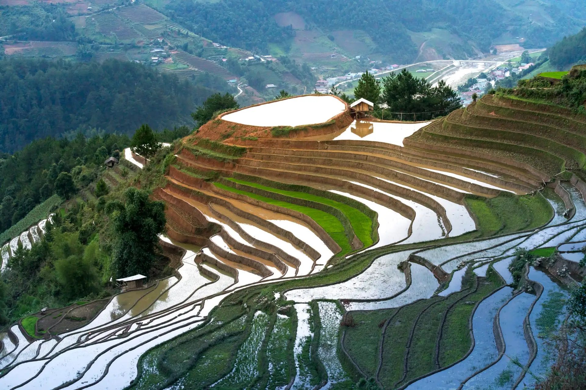 Ruộng bậc thang mùa đổ nước nhìn từ trên cao