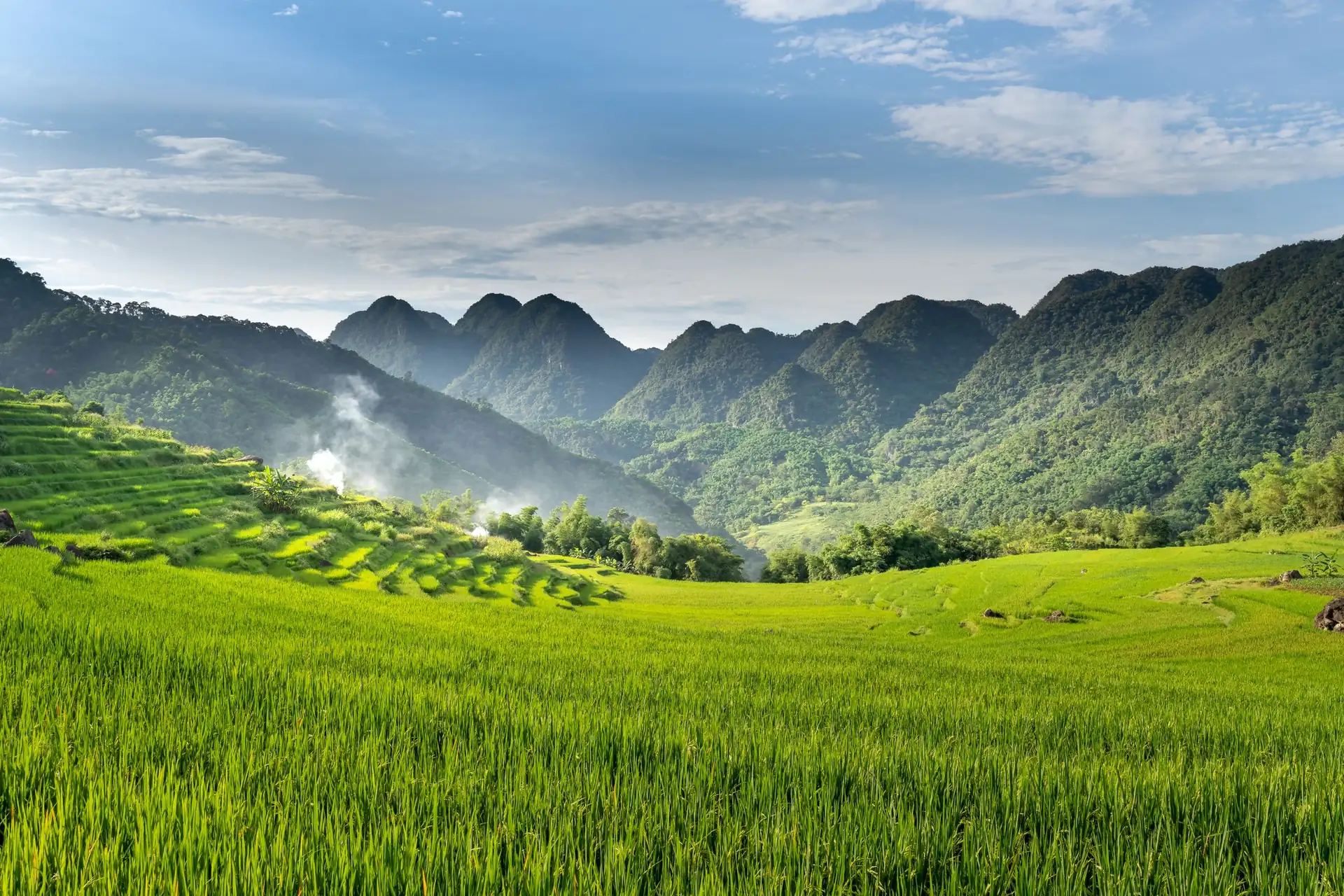 Thung lũng lúa xanh dưới chân núi