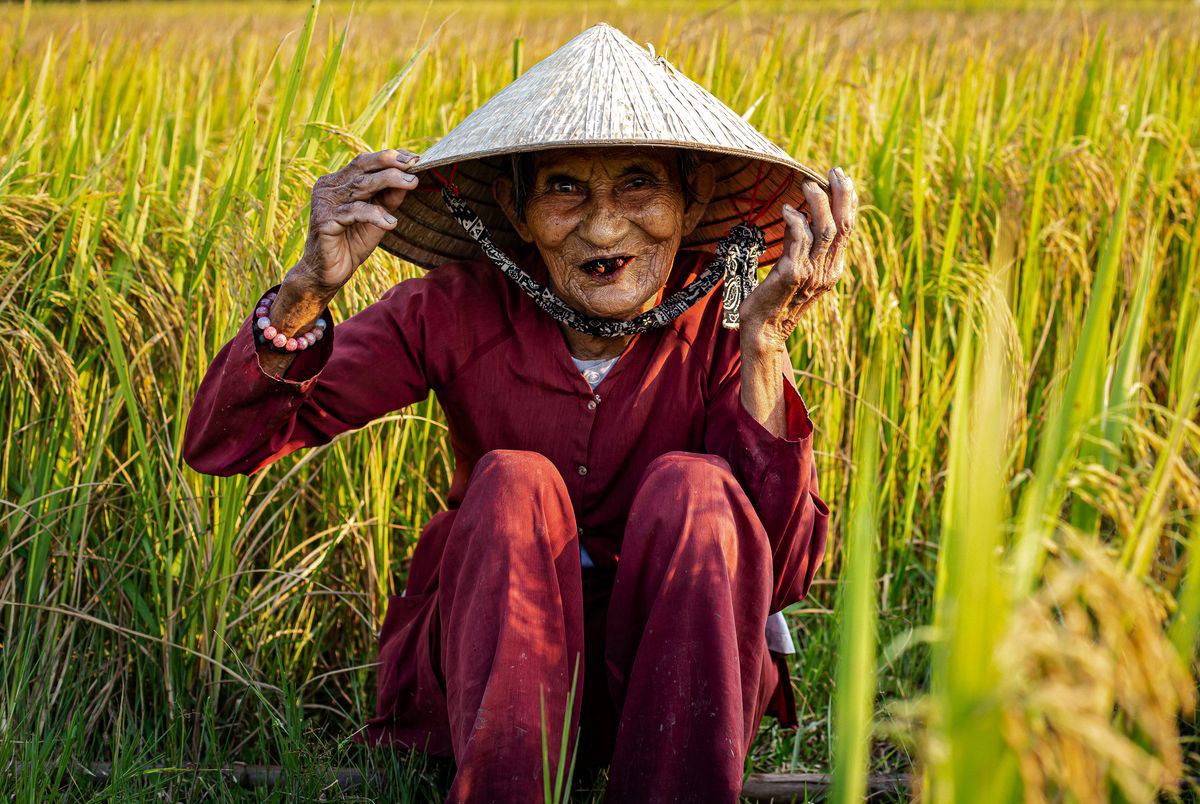VietGAP là gì? Quy trình chứng nhận cho nông hộ