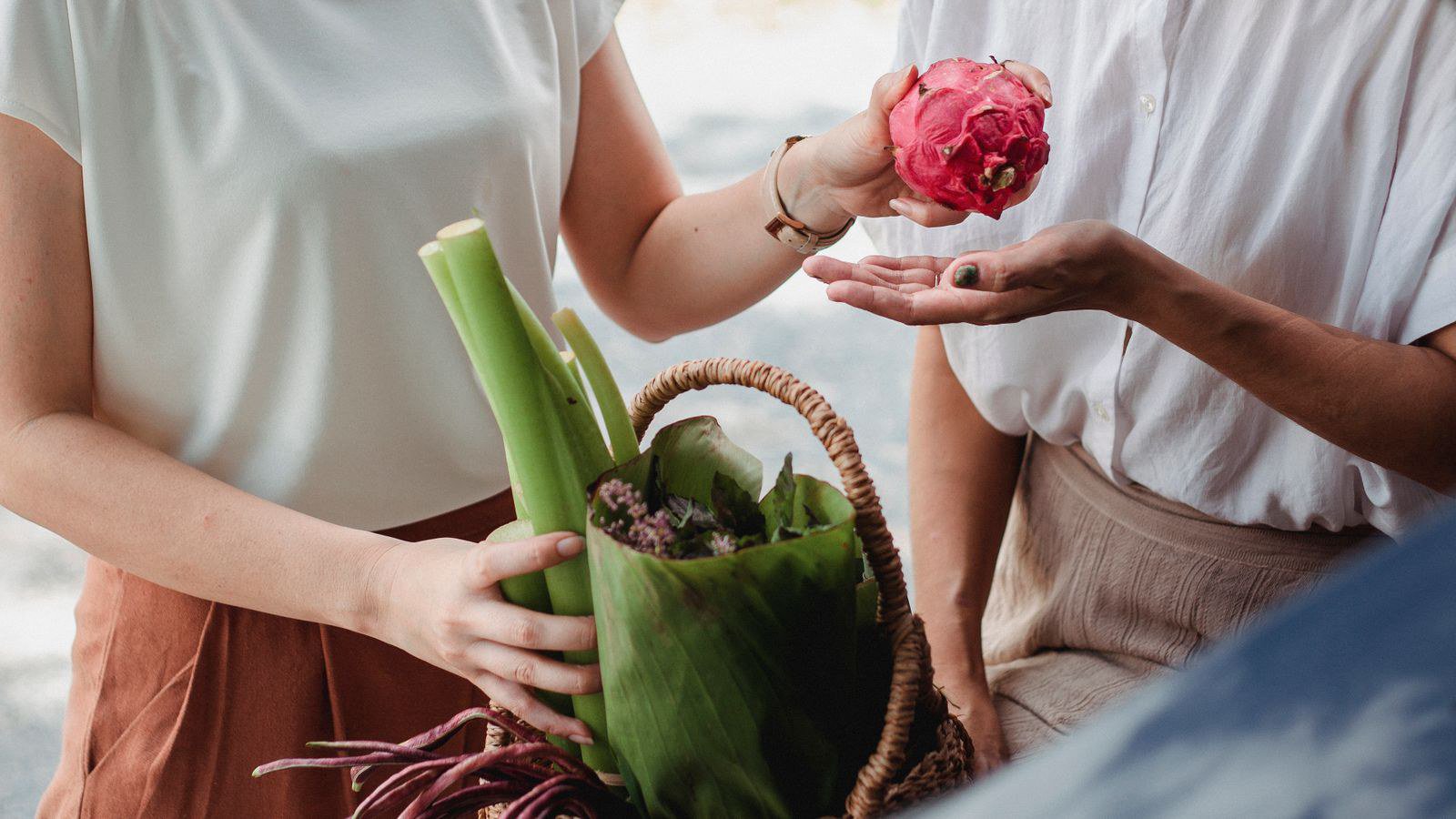 VietGAP khác GlobalGAP và hữu cơ thế nào