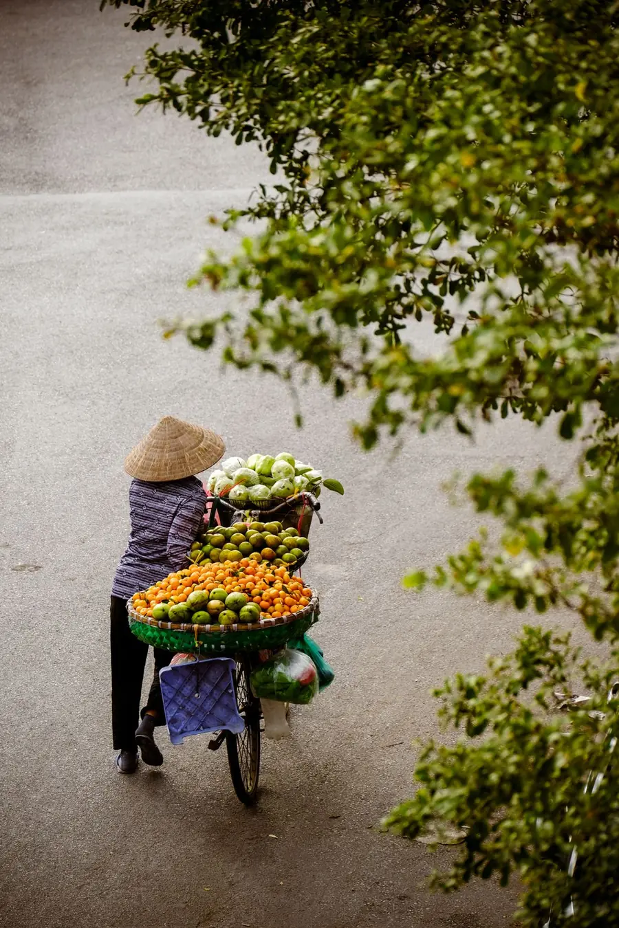 Người bán hàng đẩy xe đạp chở đầy trái cây