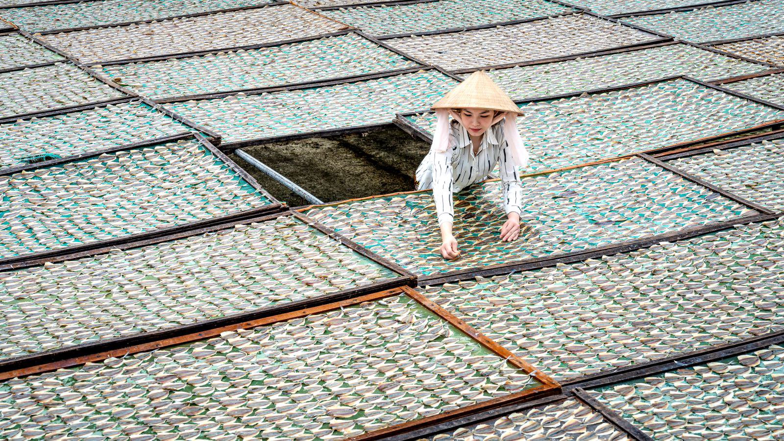 Bài học về chất lượng và truy xuất nguồn gốc